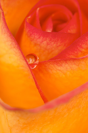 Water drop